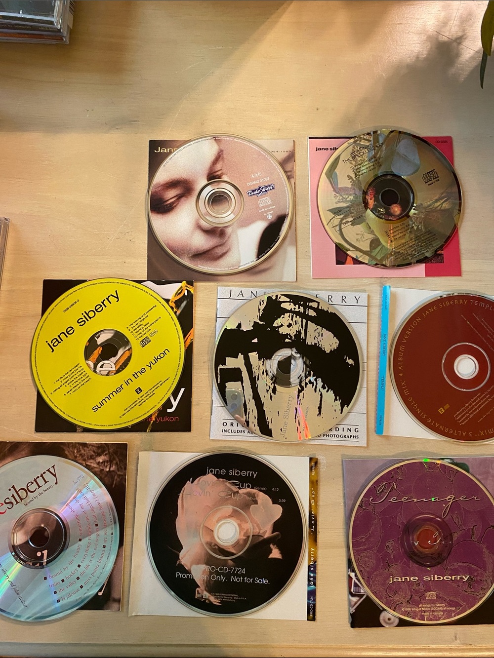 Jane Siberry 8 CD lot - gently used